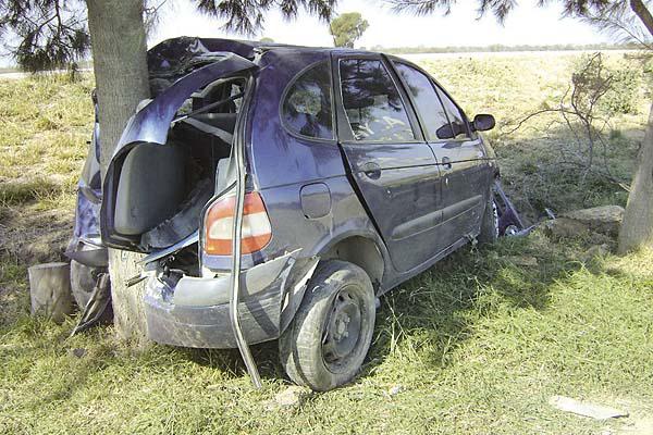 DAÑOS El tronco del �rbol terminó con la marcha alocada del Megane Scenic  EL LIBERALGerm�n Riccobelli