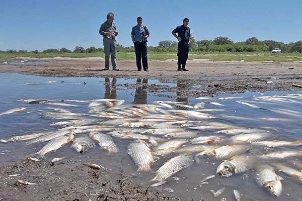 DOLOR Con esta matanza est� comprometida la nueva generación de peces dijo Isabel Brand�n funcionaria de la Dirección de Medio Ambiente 