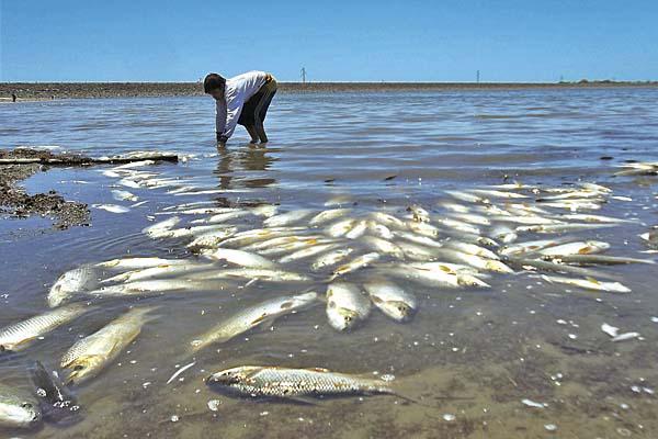 El embalse sufre uno de los peores desastres de toda su historia