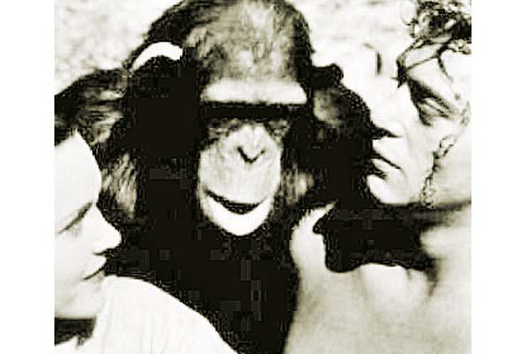 A los 80 antildeos murioacute el chimpanceacute Chita compantildeera de Tarzaacuten