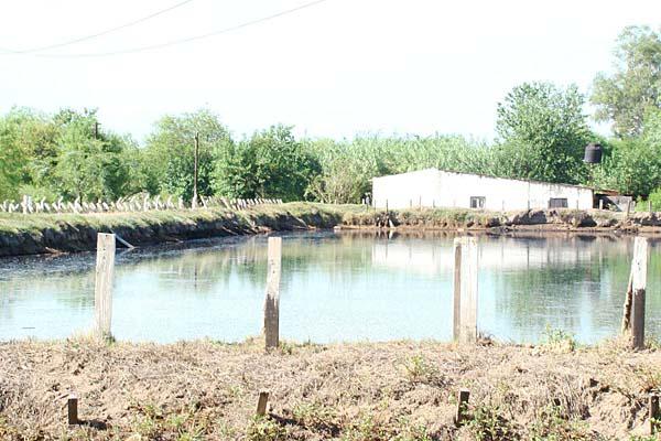 ADVERTENCIA El ingenio cuenta con piletones que acumulan millones de litros de vinaza que para los ambientalistas ser�n vertidos sobre los arroyos que desembocan en el Embalse CORTESÍA GUSTAVO MASMUD