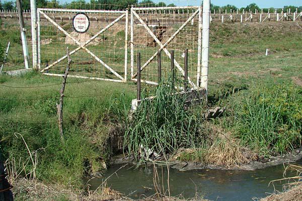 FRENTE La entrada al ingenio sin la faja de clausura y recibiendo efluentes cloacales