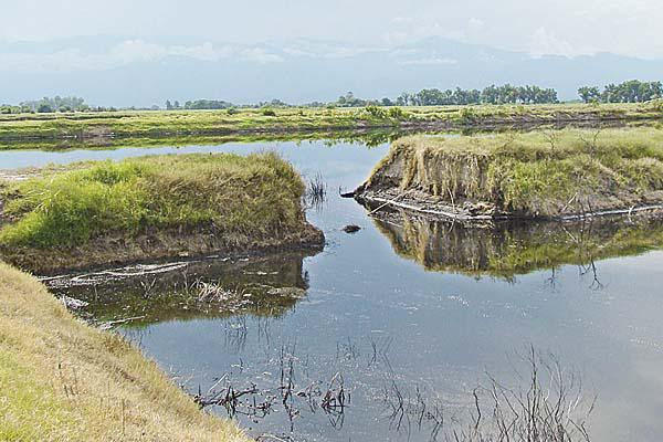 El ingenio Santa Rosa acumula 320 millones de litros de vinaza en descomposicioacuten