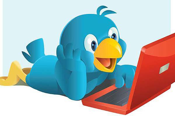 Fin para un misterio de la Web- el paacutejaro de Twitter se llama Larry