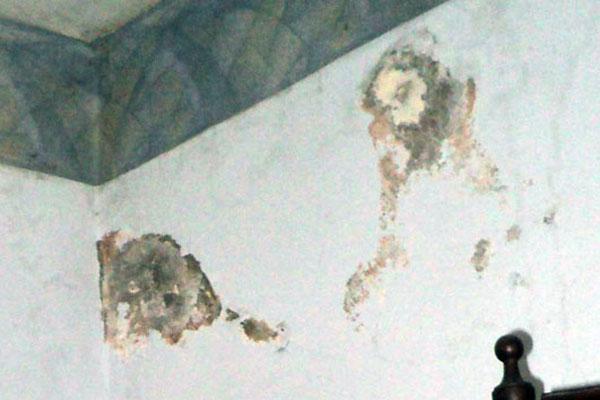 INTERPRETACIONES Los dueños de casa decidieron tomar la aparición de la imagen como una señal divina