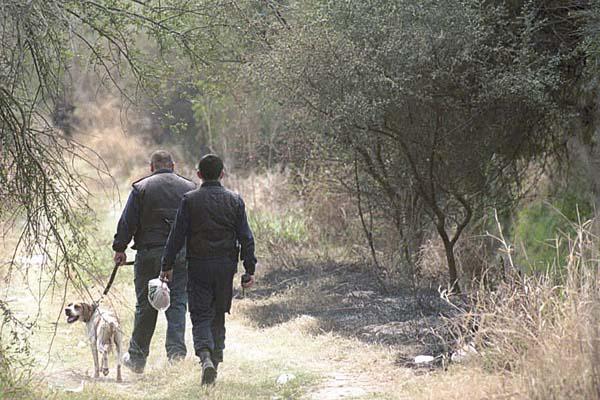 Cuatreros robaron animales por  60000 y se tirotearon con la policiacutea
