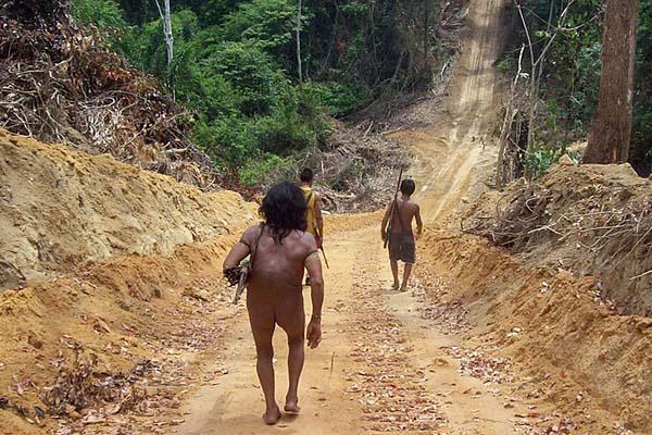 Conoceacute a los Awaacute la tribu maacutes amenazada del mundo