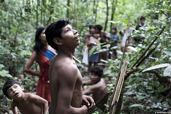 Conoceacute a los Awaacute la tribu maacutes amenazada del mundo