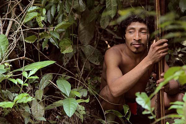 Conoceacute a los Awaacute la tribu maacutes amenazada del mundo