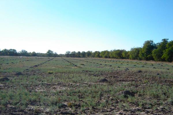TIERRAS La intención del grupo es ampliar fronteras de inversión