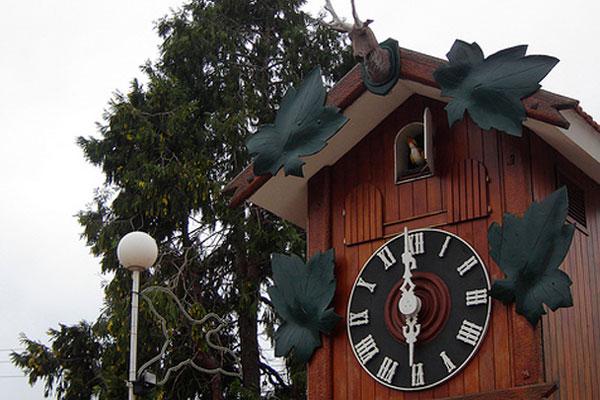 Se robaron el paacutejaro del reloj Cucuacute de Villa Carlos Paz