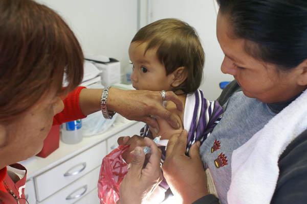 En 2009 una pandemia del H1N1 dejoacute maacutes de 600 muertos en la Argentina