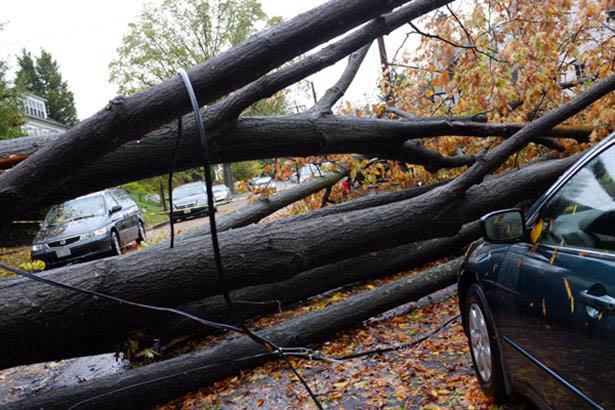Ya suman 38 los muertos por el huracaacuten Sandy