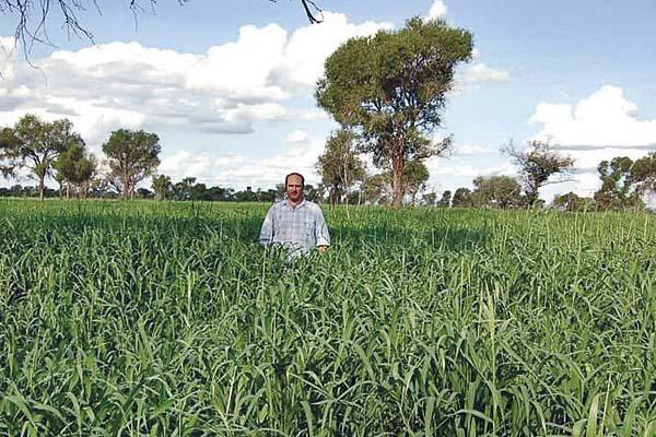 José Lizzi en el establecimiento El Mangrullo con la producción