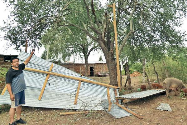 VIOLENCIA Las r�fagas de viento destrozaron añosos �rboles Los animales murieron aplastados en sus corrales