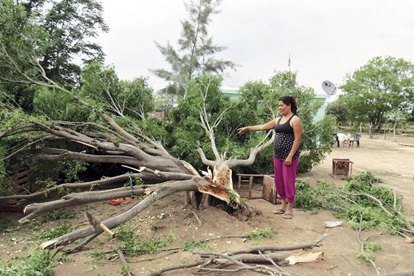 SALDO Tras la tormenta las familias tuvieron que salir a buscar sus chapas