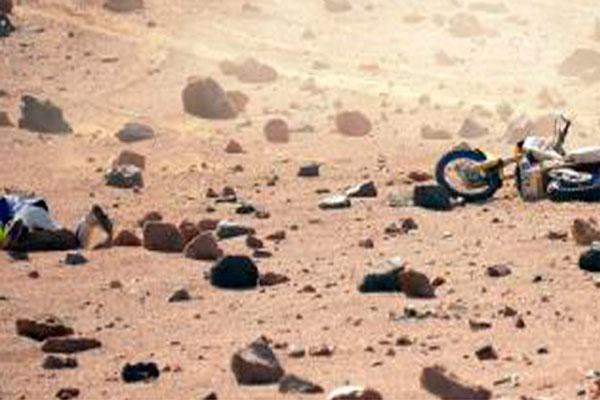 Dakar 2013- El franceacutes Casteu chocoacute una vaca y se lesionoacute un hombro rumbo a Coacuterdoba