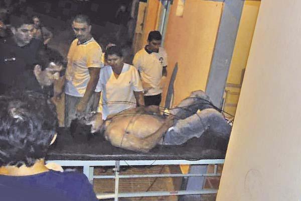 Un joven aparecioacute ahorcado con un cable de teleacutefono y su identidad era un misterio