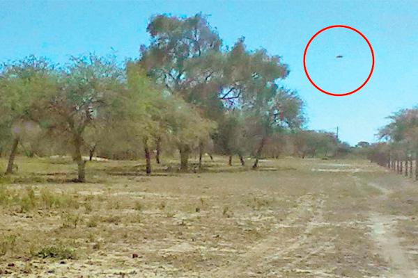 AVISTAJE Había sido captado por dos investigadores que fotografiaron el firmamento sin saber de su existencia 