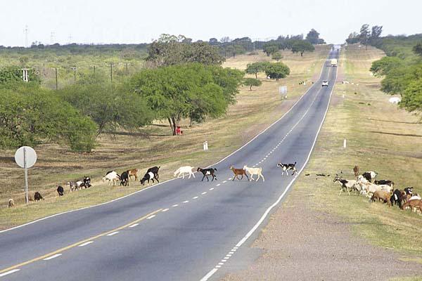 Ciertos tramos de las Rutas 64 9 y 34 son considerados por la policiacutea como los maacutes peligrosos