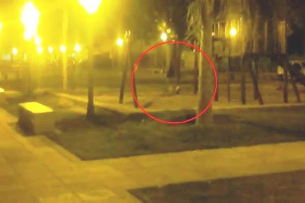 Conmocioacuten por una hamaca que se mueve sola en Tigre