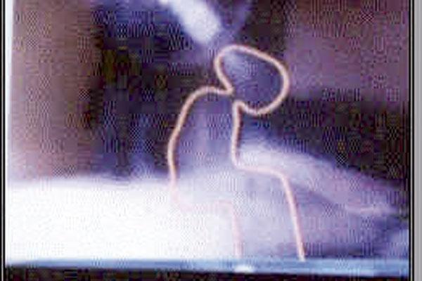 El equipo del programa televisivo asegura haber captado una presencia en el cuarto 106