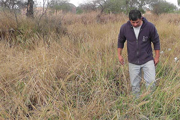 ESCENARIO El cr�neo fue encontrado en medio de unos pastizales