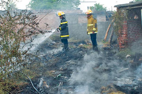 Quisieron defenderse del ataque de avispas furiosas y provocaron un incendio