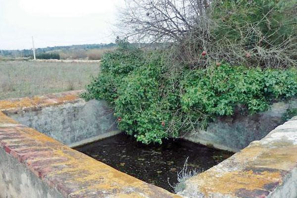 ANÁLISIS Se estudiaba qué productos fueron aplicados