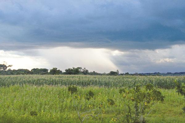 Fuertes vientos causaron destrozos en Fortiacuten Inca