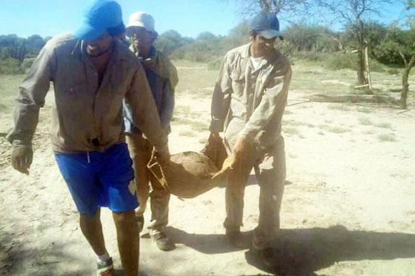 Los campos de Salavina siguen sorprendiendo con su riqueza arqueoloacutegica