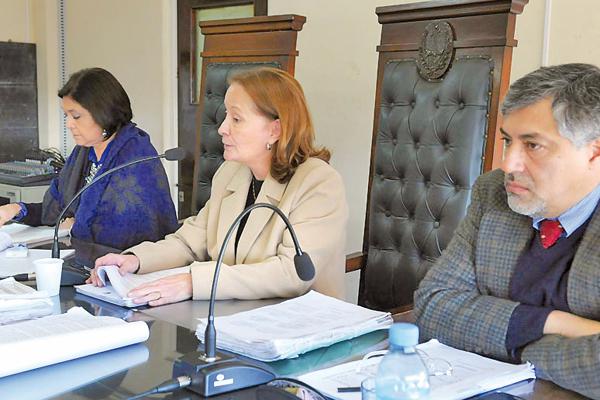 AUDIENCIA El tribunal escuchar hoy a otros expertos forenses