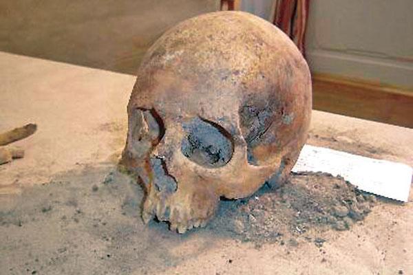 PERICIAS Al parecer pertenecería a un joven afirman que tenía un cordón que unía el maxilar inferior y el superior