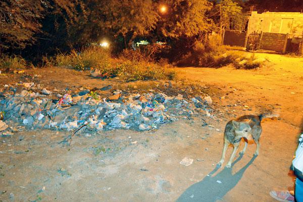 ESCENARIO Fue encontrado junto a la basura a un costado del pasaje del mencionado barrio