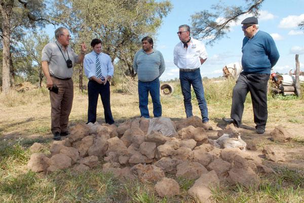 PROCEDIMIENTO El fiscal Abate junto a expertos de Minería analizó las características de las piezas encontradas antes de trasladarlas a nuestra ciudad