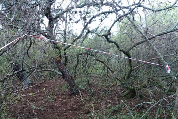 Una pareja matoacute y enterroacute a su beba de ocho meses y denuncioacute que la habiacutean secuestrado
