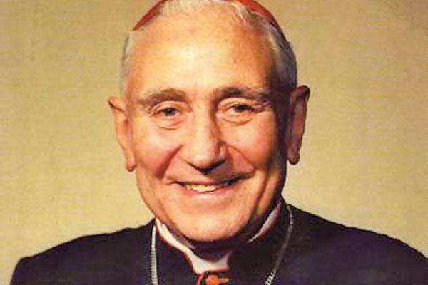 Al cardenal Eduardo Pironio se le atribuye la curacioacuten milagrosa de un nintildeo intoxicado con purpurina