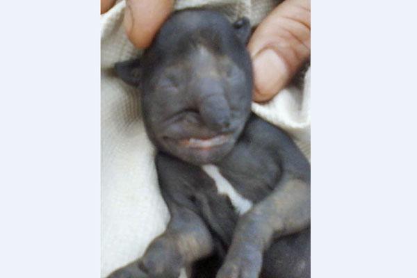 RELEVANCIA Medios nacionales se hicieron eco del caso