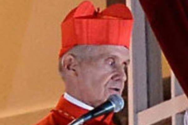 El papa Francisco nombroacute a un franceacutes como su camarlengo