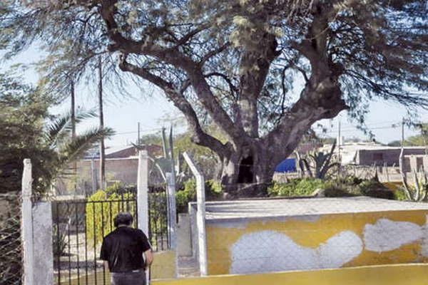 Preservar el aacuterbol y la cruz es la mayor preocupacioacuten en el Santuario del Sentildeor de Mailiacuten