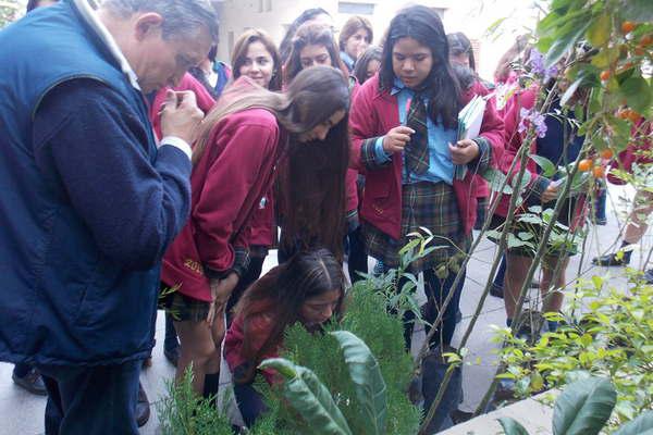 El Colegio Beleacuten se sumoacute al programa Plantando Futuro