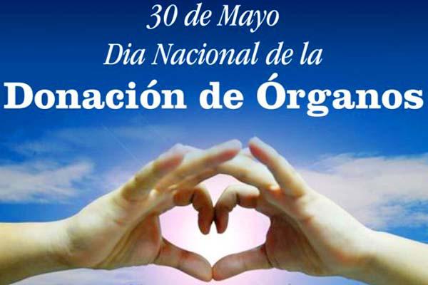 Colegio de Fernaacutendez se adhiere al Diacutea Nacional de la Donacioacuten de oacuterganos