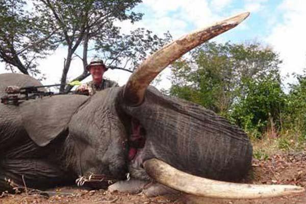 Denuncian a otro meacutedico de los EEUU por la caza ilegal de un leoacuten