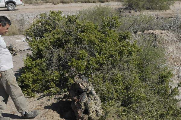 Expertos dudan de que los restos encontrados sean de meteorito pero es material de investigacioacuten