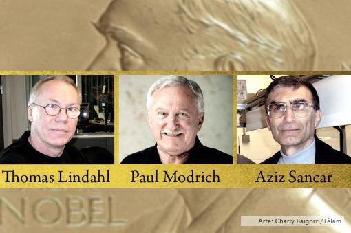 Nobel de Quiacutemica a tres cientiacuteficos por sus estudios para la reparacioacuten del ADN
