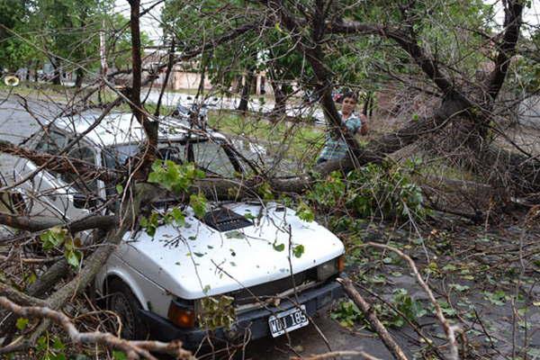 Asistieron a vecinos que sufrieron graves dantildeos por los fuertes vientos