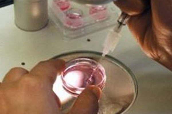 iquestCoacutemo funcionan los bancos de semen en Argentina