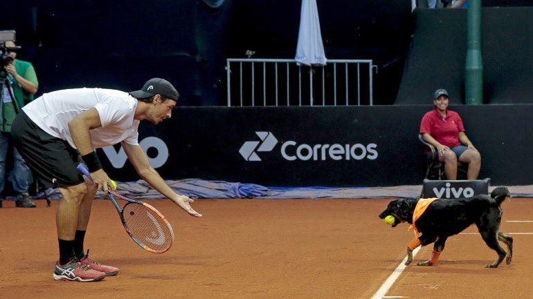 Inicioacute la era de los perros recogepelotas en el tenis