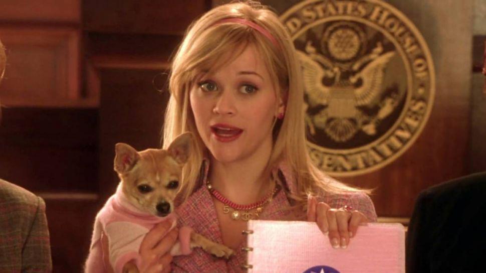 El dolor de Reese Witherspoon por la muerte del chihuahua de Legalmente rubia