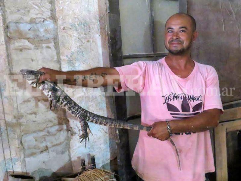 Una enorme iguana aparecioacute en una casa de Las Termas